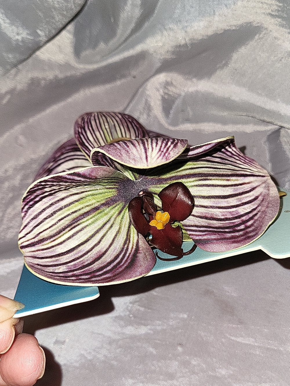 Purple Striped Orchid Hair Clip - Women Accessories Brand New Lp